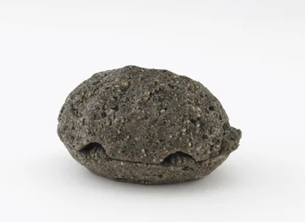 Incense Box in the Shape of a Turtle, Kyoto, Edo period